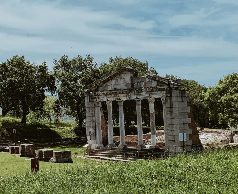 sara-darcaj-g_Wv7Xzm5-8-unsplash